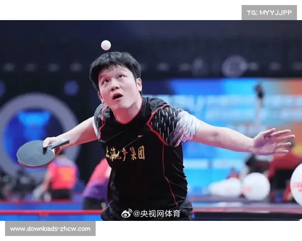 樊振东海外征战中的文化适应与挑战引发广泛讨论