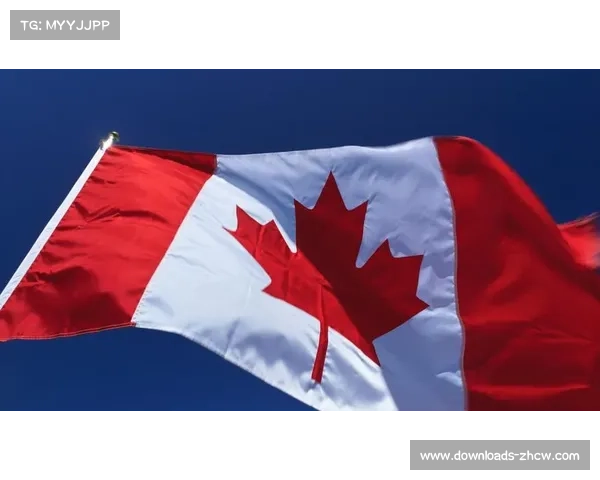 加拿大排名第十五与斯洛文尼亚第十六分析：全球经济与社会发展新动向